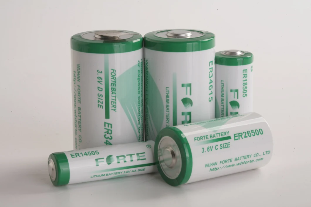 3.6V Primary Lithium Battery Er14505 Er14505m AA Industrial Battery